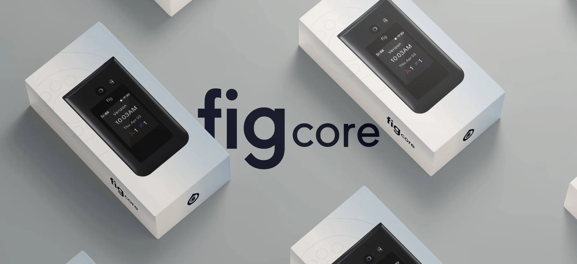 fig core fig core