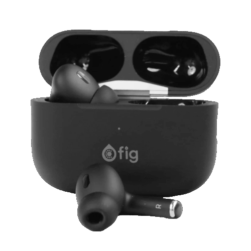 0cc06bb3-157d-4105-b295-b287f798643e Fig Wireless Earbuds